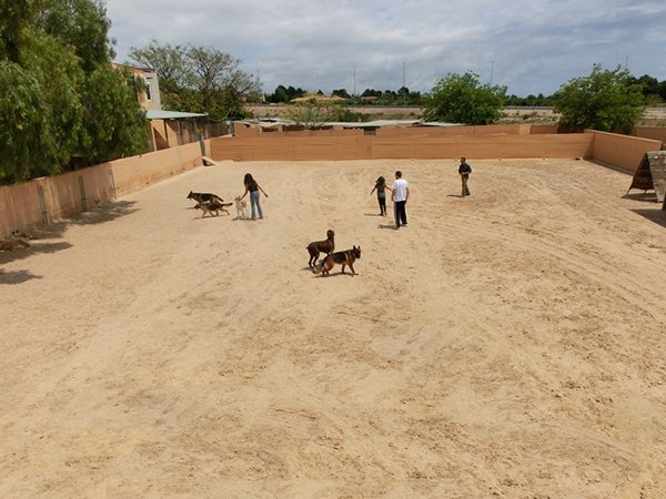centro canino akra can