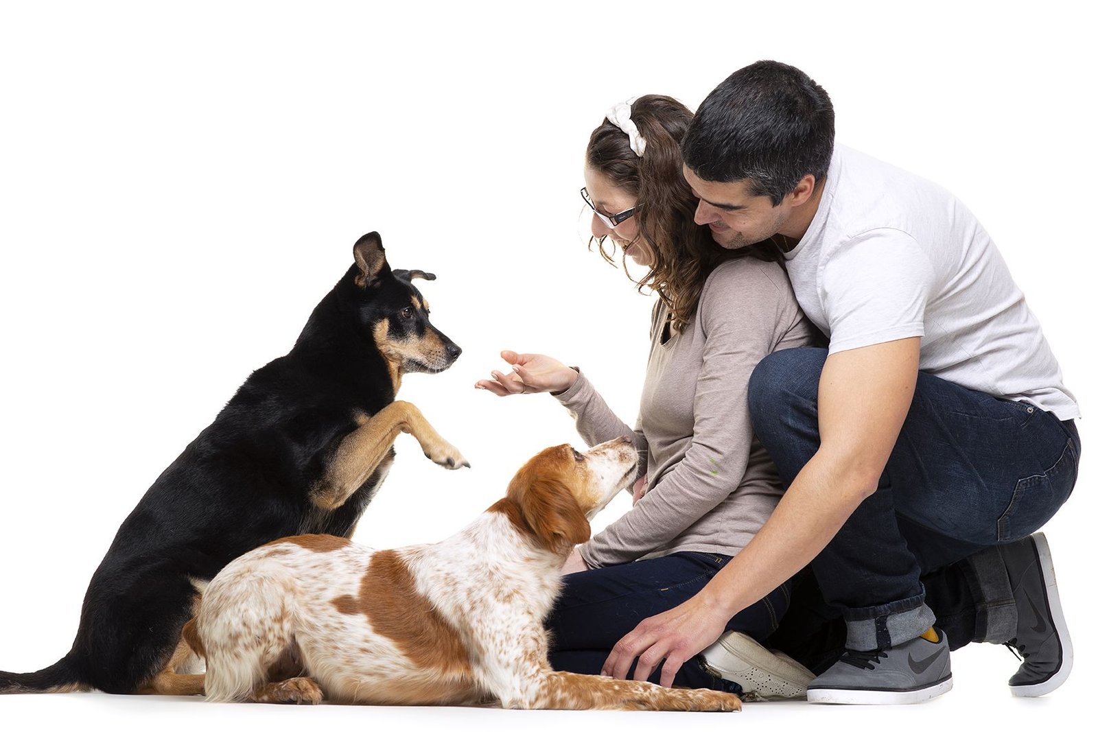 residencia canina de perro a perro