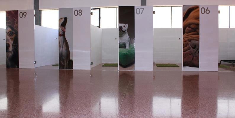 residencia canina dog village