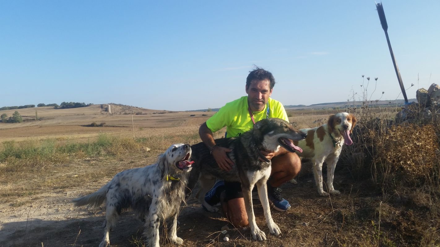 residencia canina luis ramos