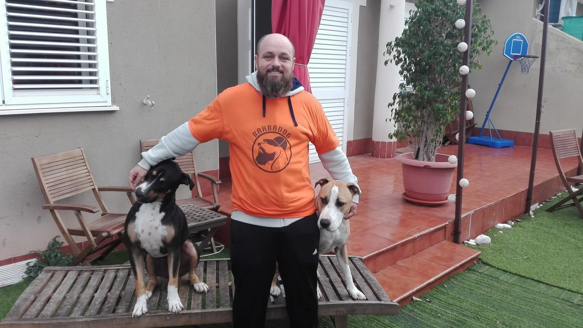 alojamiento canino barbadog