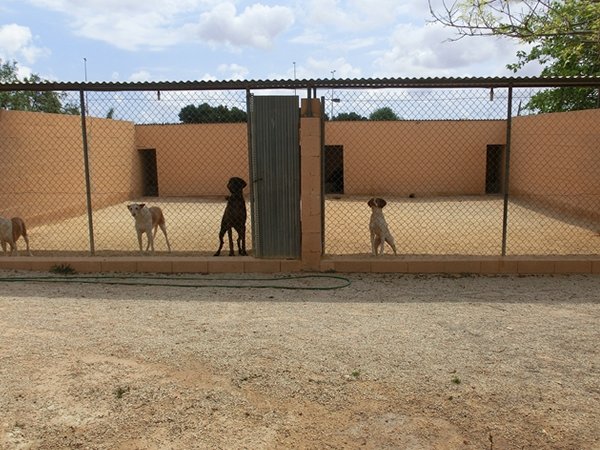 centro canino akra can