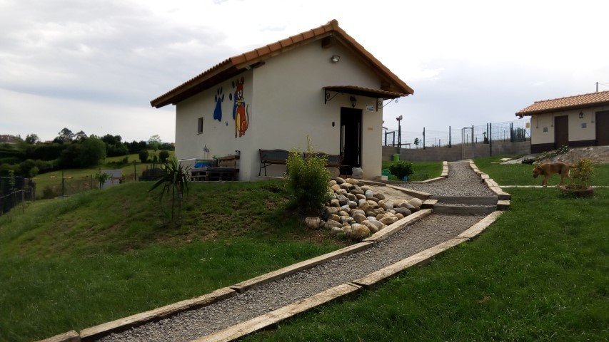 residencia canina ovican