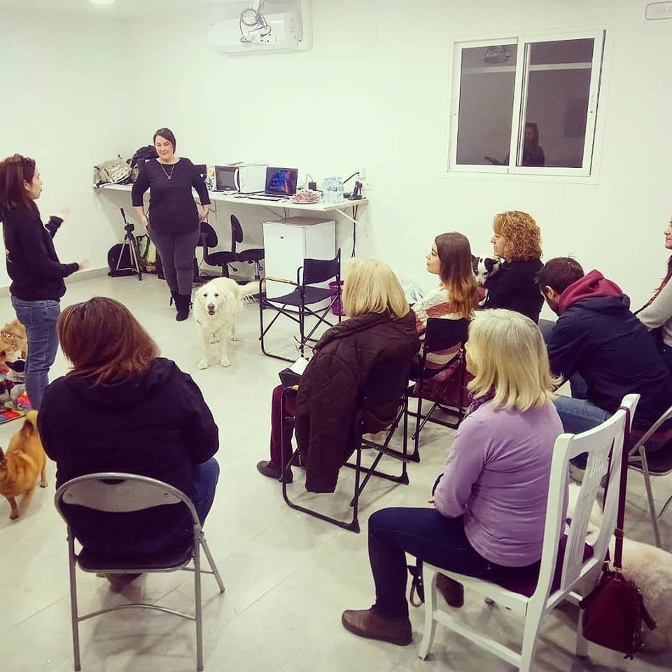 guardería canina consentidogs