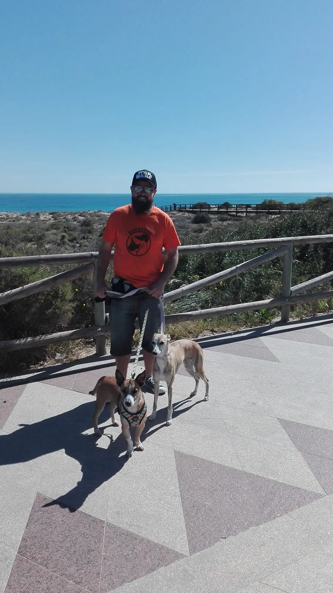 alojamiento canino barbadog