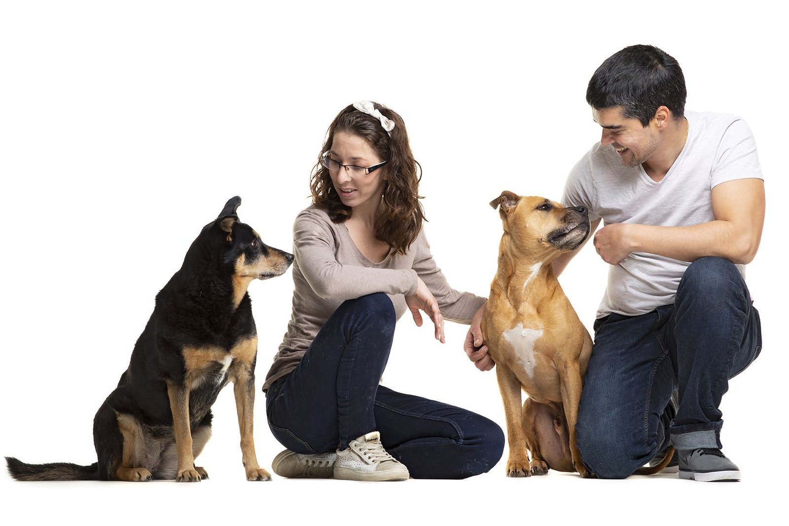 residencia canina de perro a perro