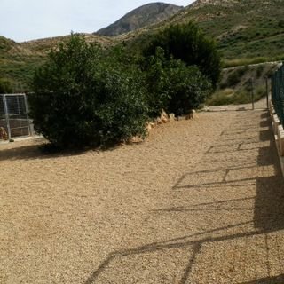 hotel para perros mojacar