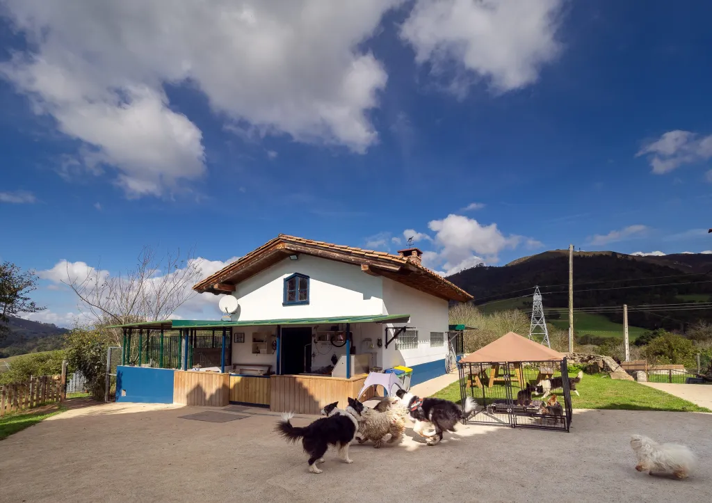 hotel para perros la torre canina