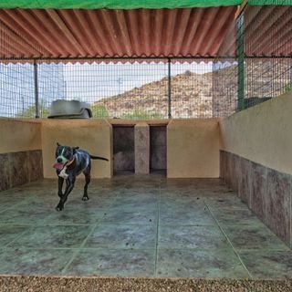 hotel para perros mojacar