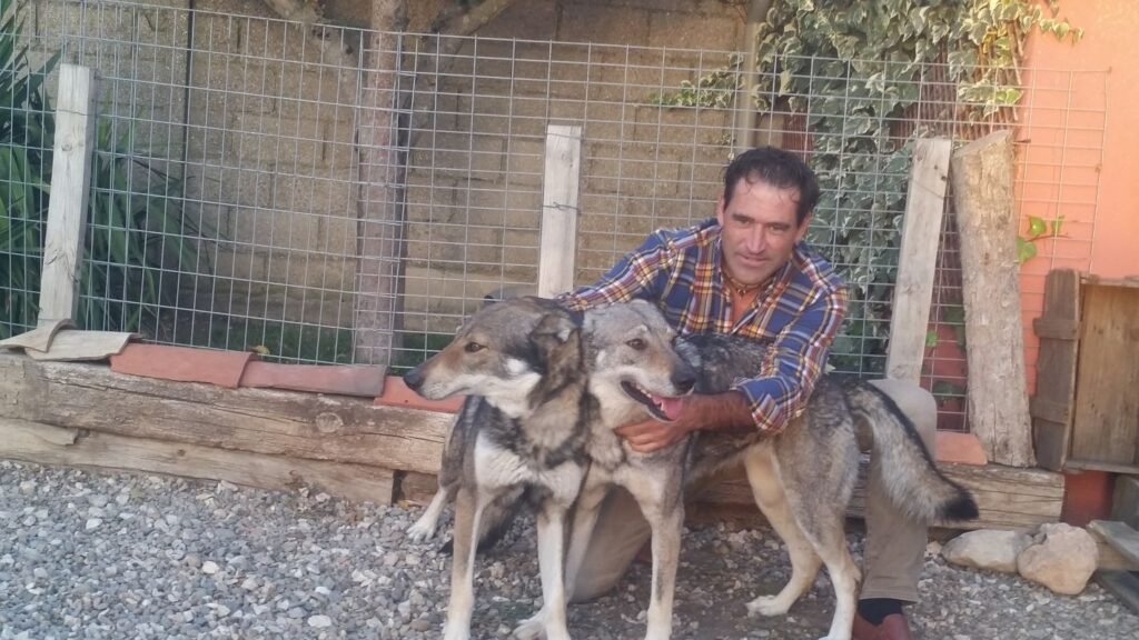 residencia canina luis ramos