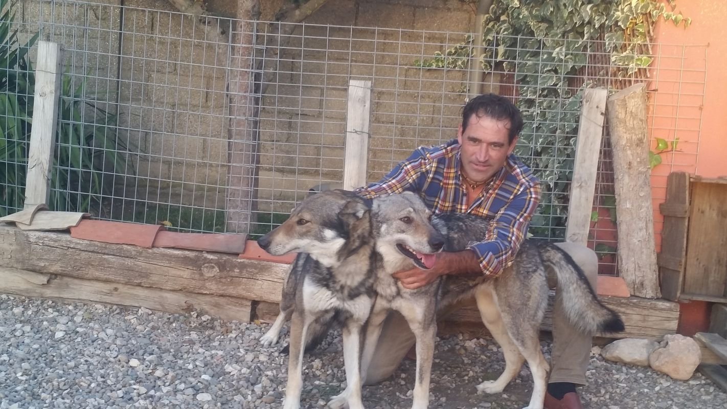 residencia canina luis ramos