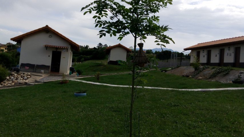 residencia canina ovican