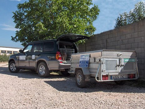 residencia canina luis ramos