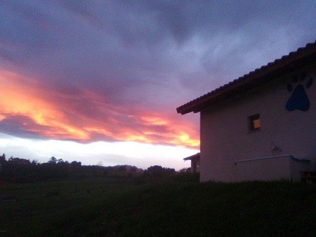 residencia canina ovican