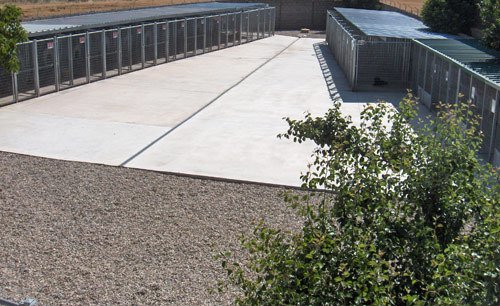 residencia canina luis ramos