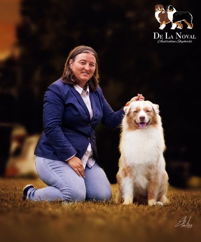 residencia canina de la noval