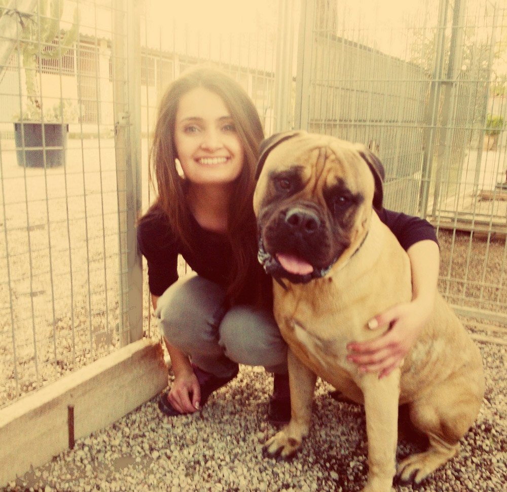 centro canino seguracan