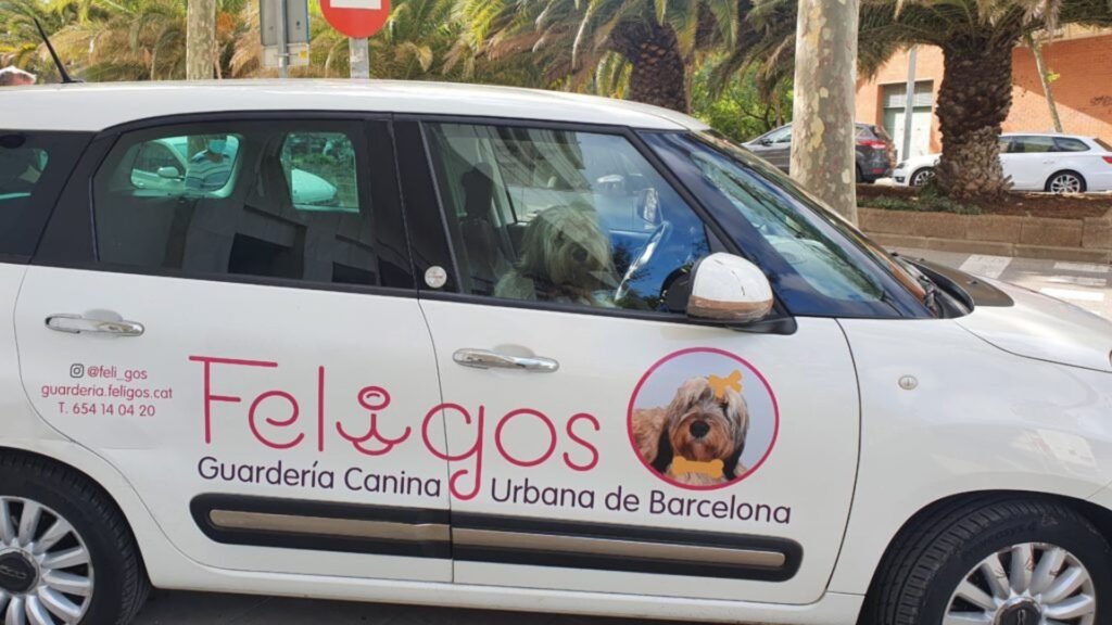 guardería canina feligos
