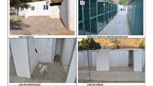 HOTEL CANINO DAMACAN