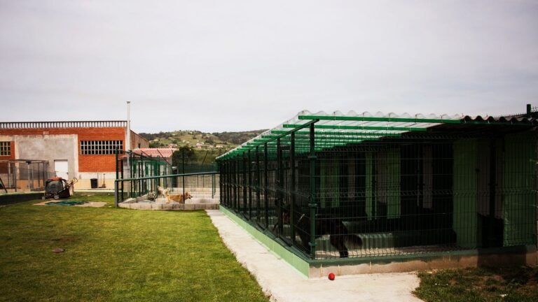 Hotel Canino Entreperros – residencia canina en Asturias