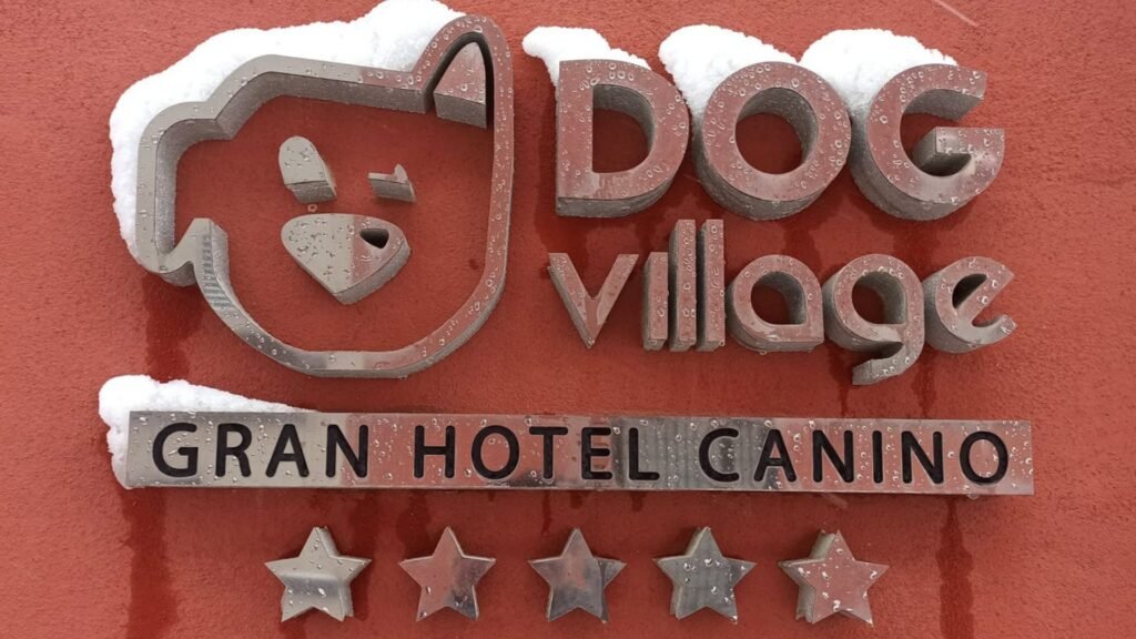 residencia canina dog village