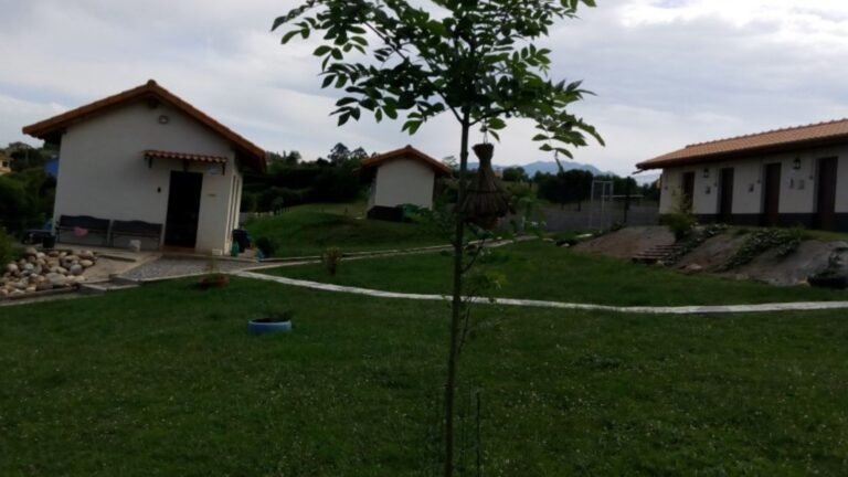 Residencia Canina Ovican – residencia canina en Asturias