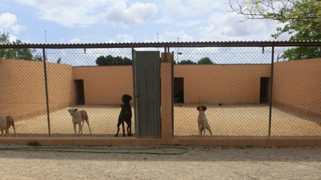 centro canino akra can