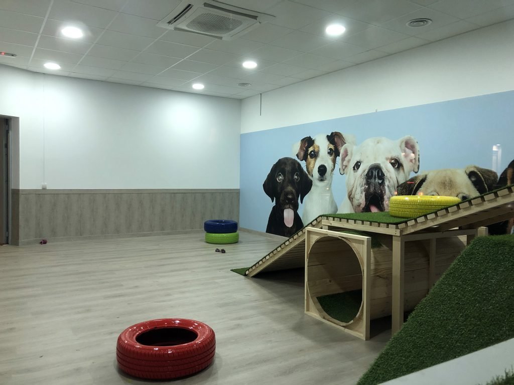 guardería canina mami dogguies