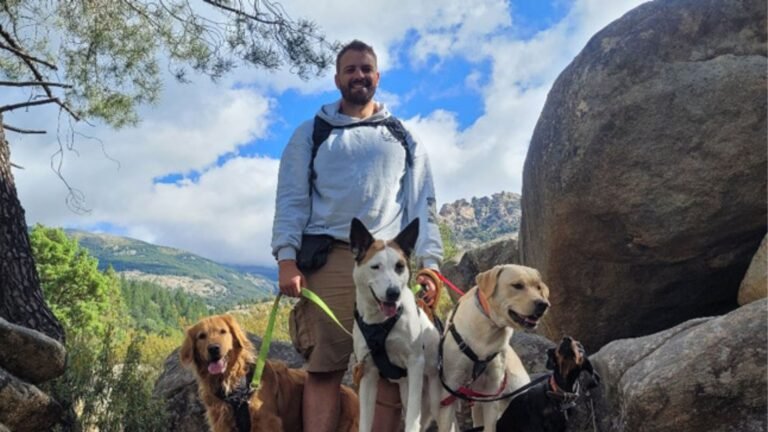 Guardería Canina Dogclan – residencia canina en Madrid