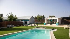hotel canino vive pet resort