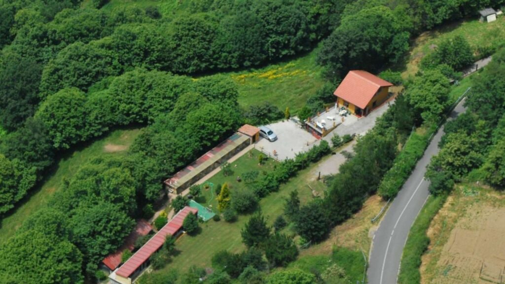 residencia de animales el rasón