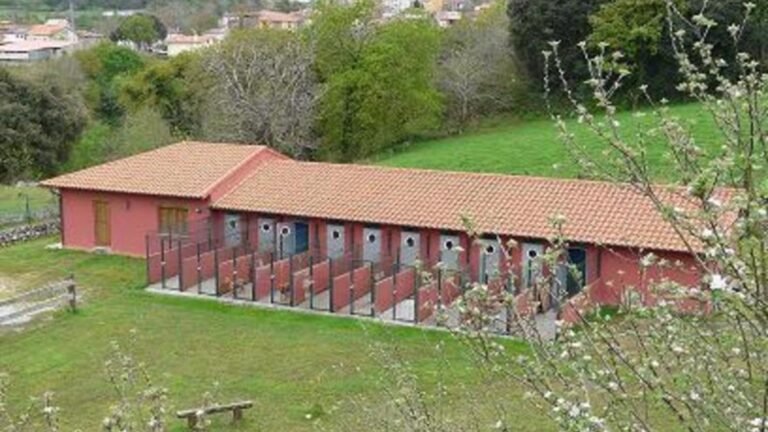 Residencia Canina Villanueva – residencia canina en Asturias