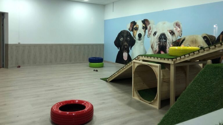 Guardería Canina Mami Dogguies – residencia canina en Madrid