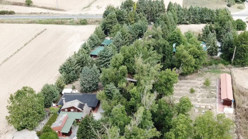 residencia canina almacan