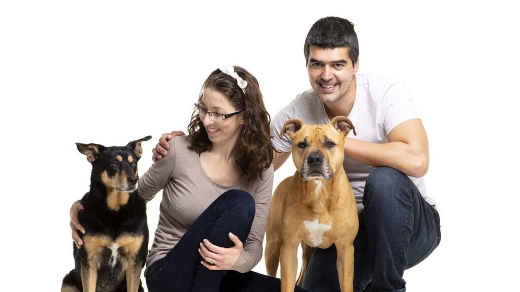 residencia canina de perro a perro