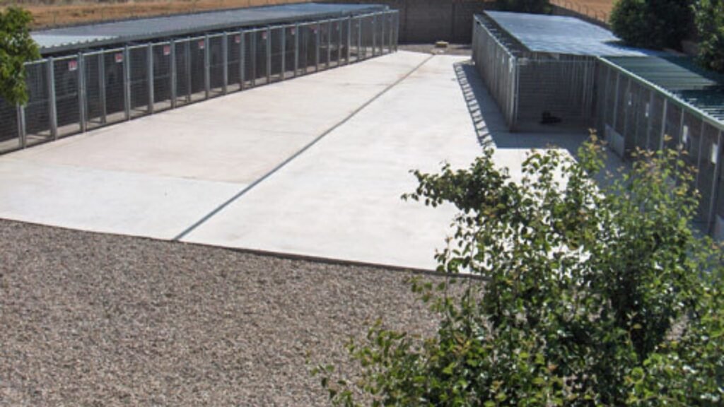 residencia canina luis ramos