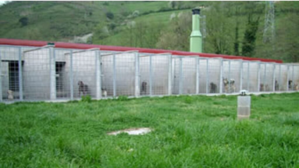 residencia canina brañavalera