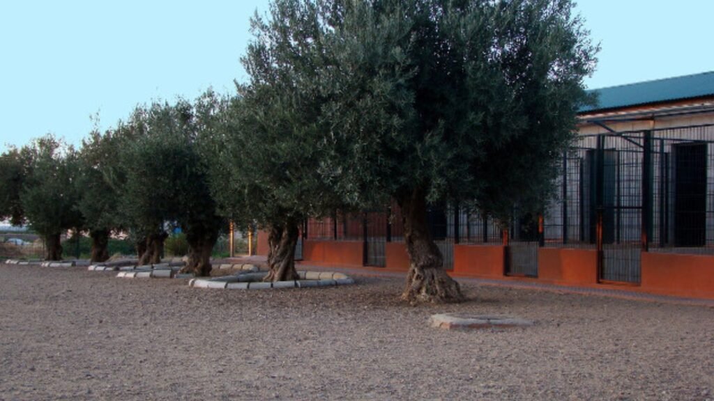 residencia canina cliveal