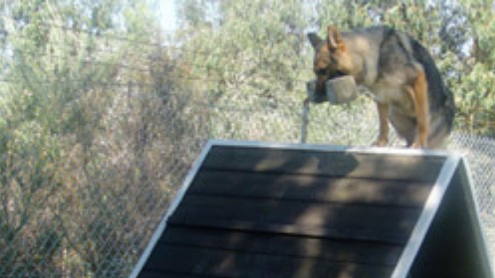 centro canino lujan