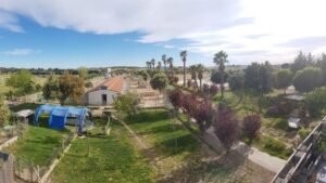 residencia canina mascout