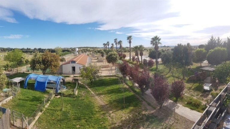 Residencia Canina Mascout – residencia canina en Cáceres