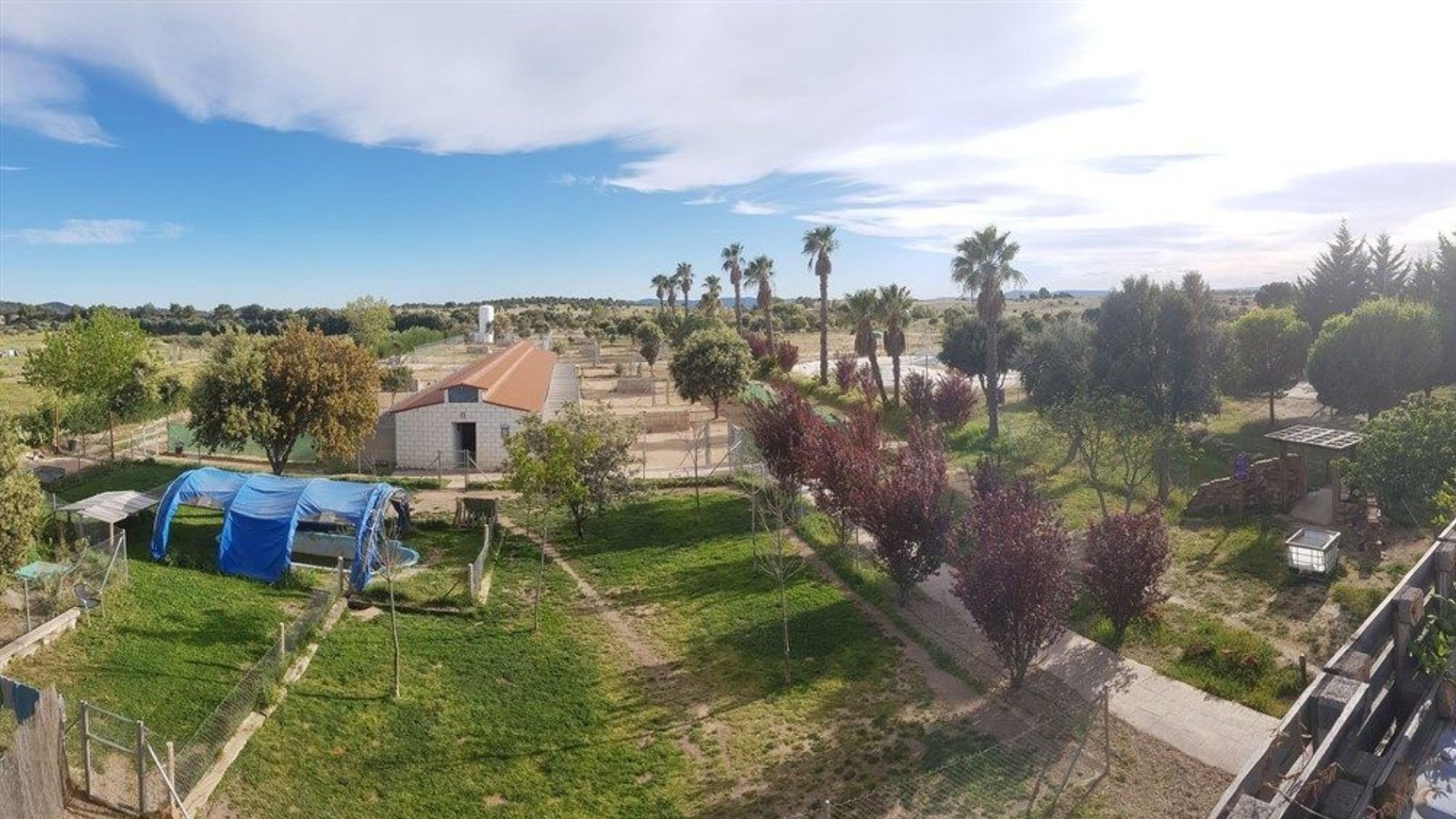 residencia canina mascout