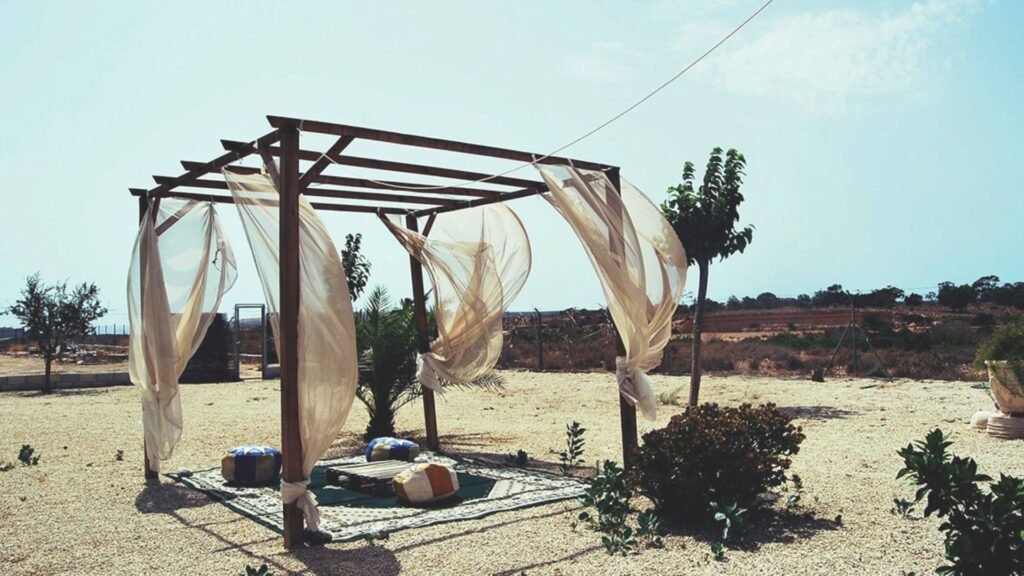 hotel para perros marys pet hotel