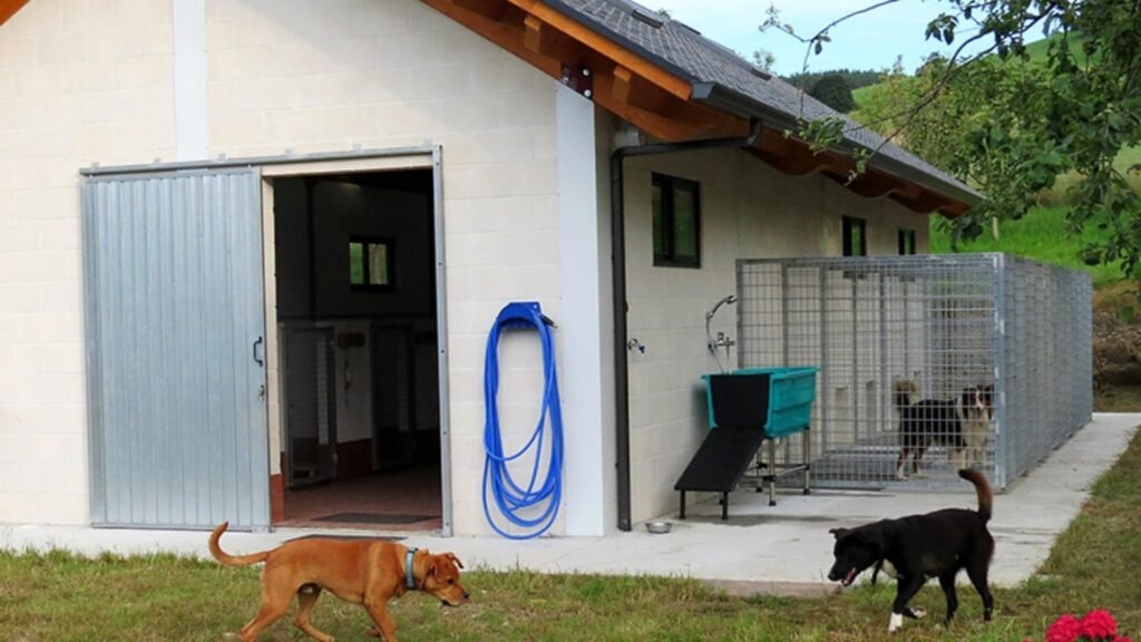 residencia canina el lugar del perro