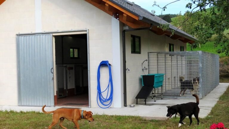 Residencia Canina El Lugar del Perro – residencia canina en Asturias