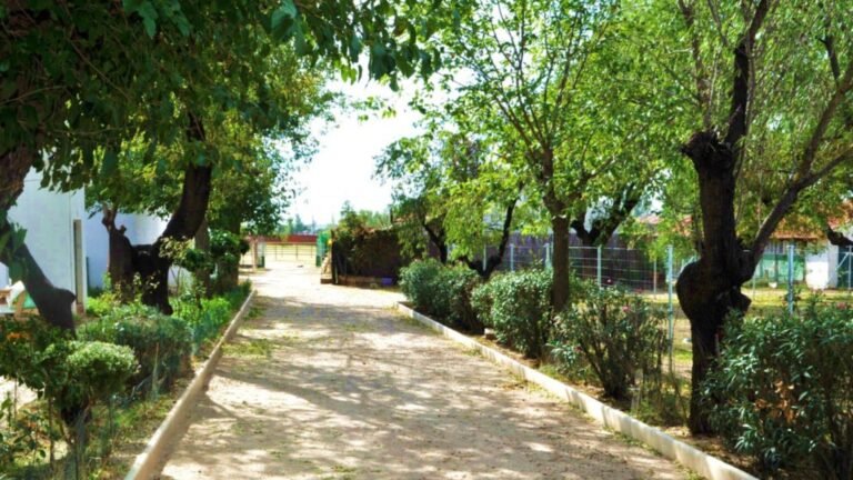 Hotel Canino Villamascota – residencia canina en Madrid