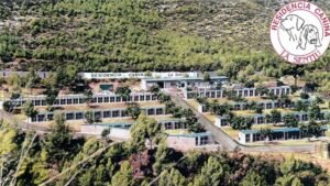 residencia canina la sentiu