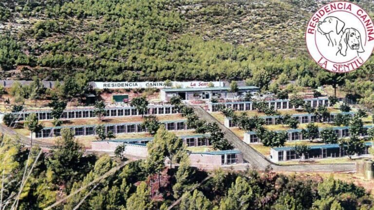 Residencia Canina La Sentiu – residencia canina en Barcelona