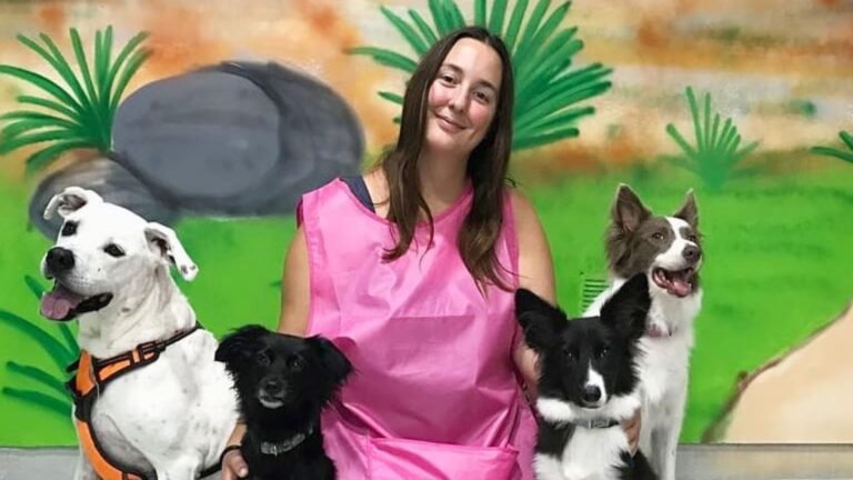 guardería canina consentidogs