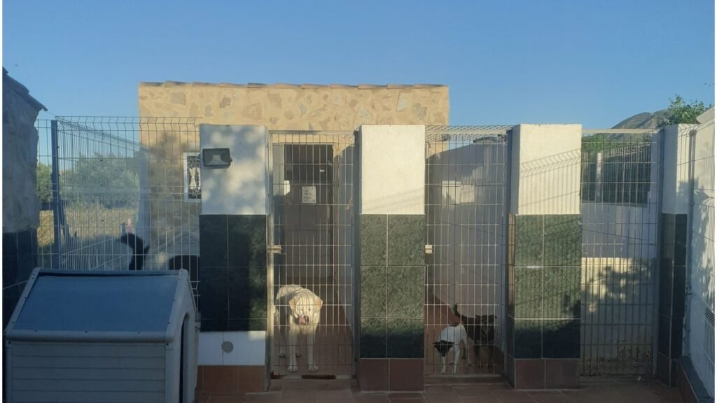 hotel para mascotas five bone